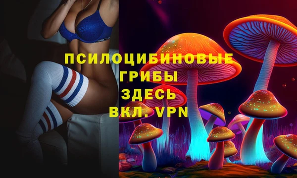 ALPHA PVP Кинешма